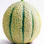 Дыня Cucurbitaceae family
