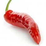 Стручковый перец Capsicum