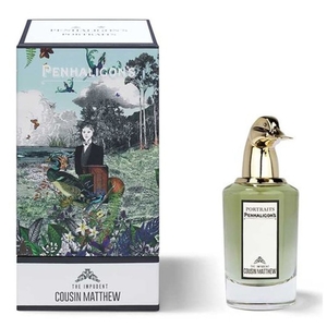 The Impudent Cousin Matthew